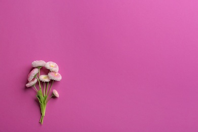 Photo of Flat lay composition with spring daisy flowers and space for text on color background