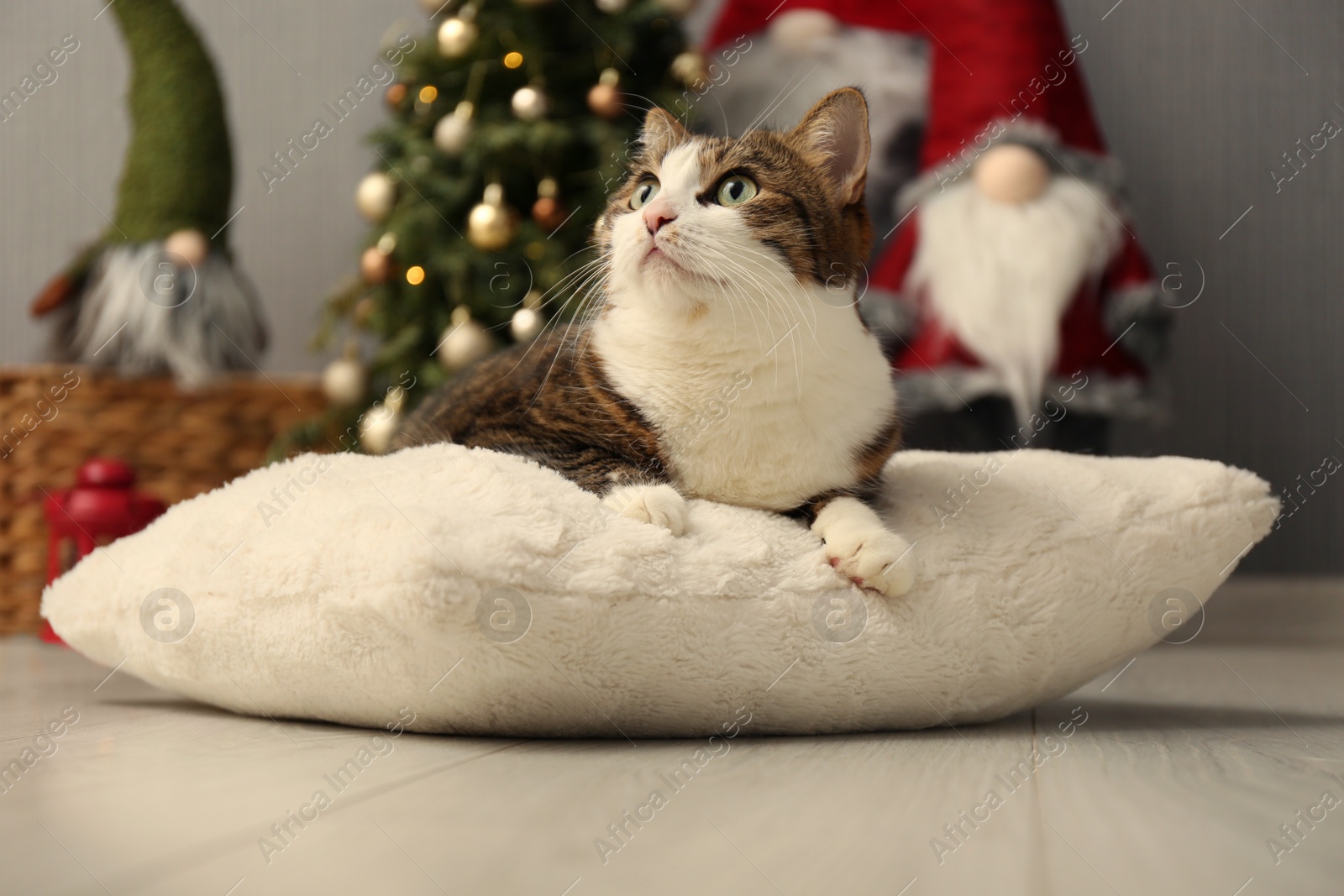 Photo of Cute cat lying on soft pillow near Christmas decor at home. Adorable pet