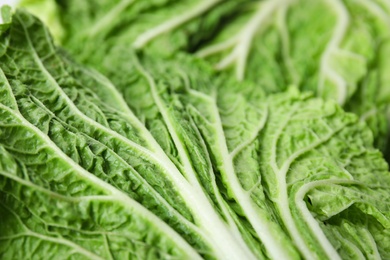 Fresh ripe Chinese cabbage as background, closeup