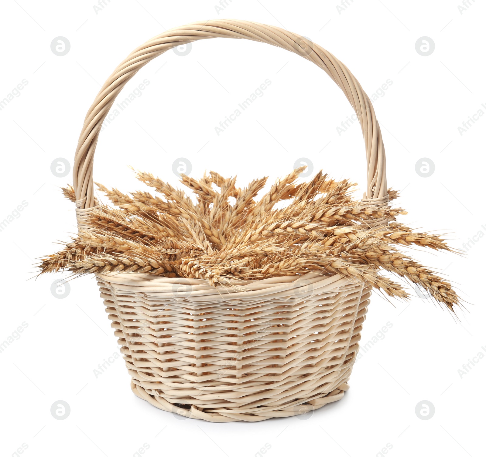 Photo of Wicker basket with ears of wheat on white background