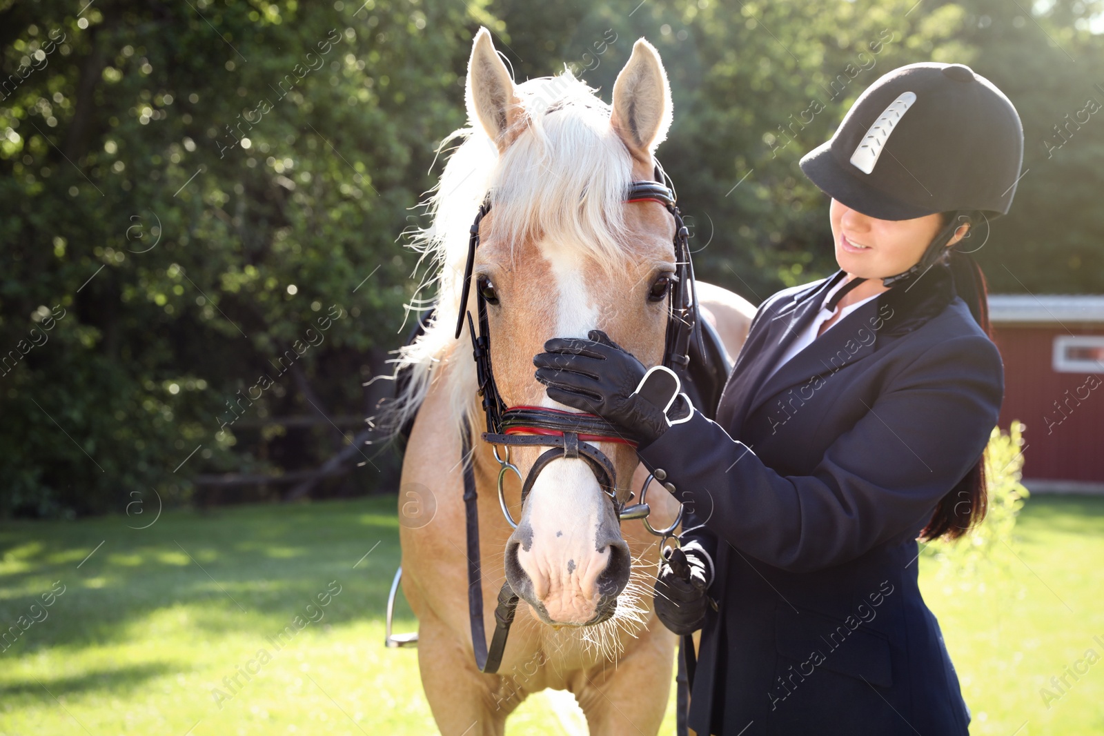 Photo of Young woman in horse riding suit and her beautiful pet outdoors on sunny day