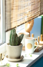 Photo of Green cactus in pot on window sill indoors. Stylish interior