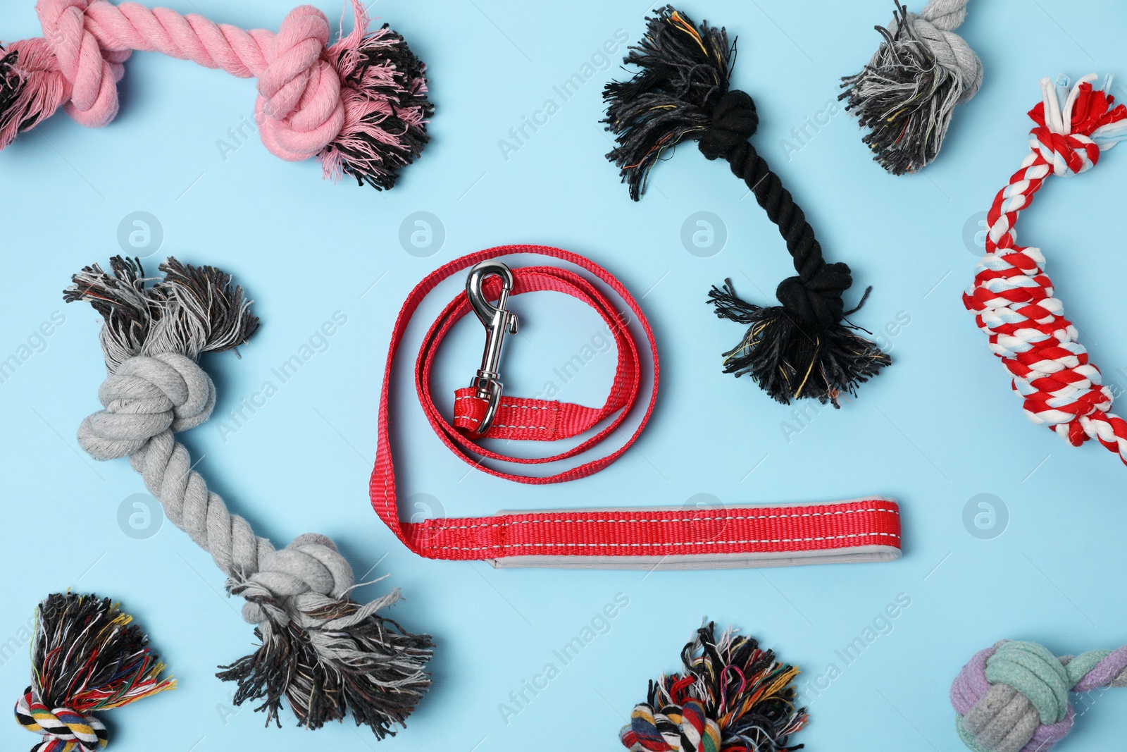 Photo of Flat lay composition with dog leash and toys on light blue background