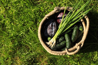 Photo of Tasty vegetables in wicker basket on green grass, top view. Space for text
