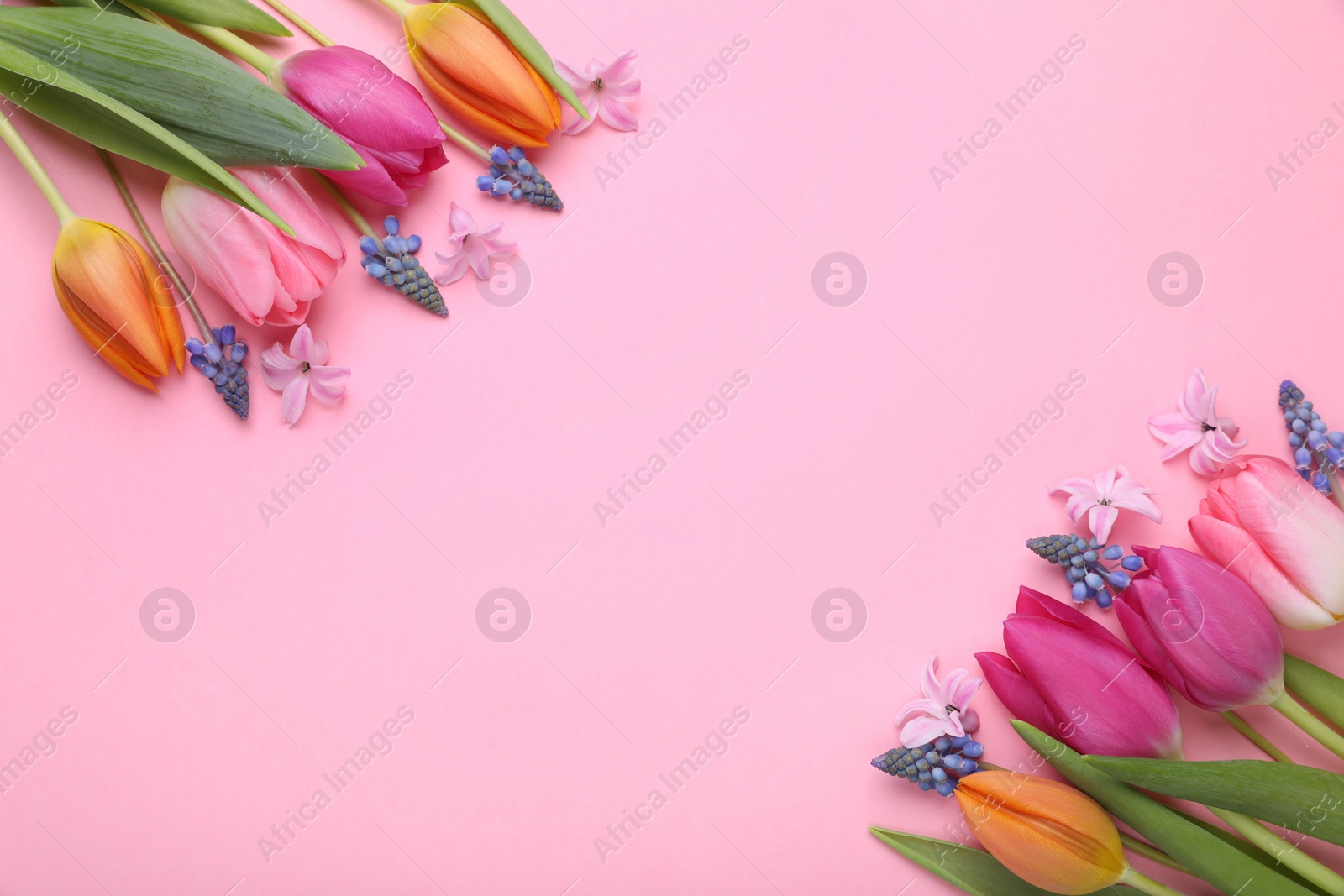 Photo of Beautiful different flowers on pink background, flat lay. Space for text