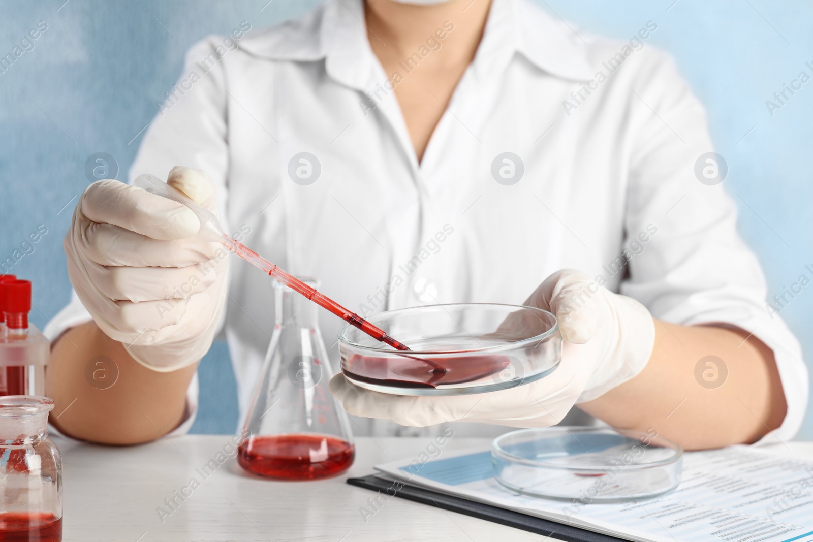 Photo of Scientist taking blood sample from Petri dish with pipette in laboratory, closeup. Virus research