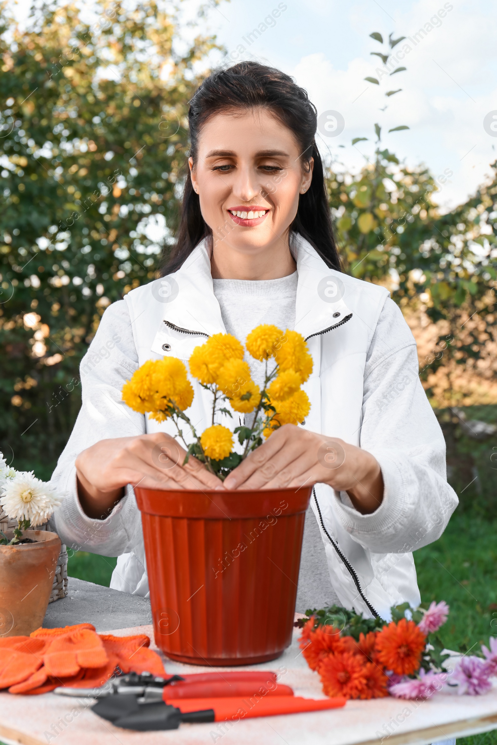 Photo of Woman transplanting flowers into pot at table outdoors