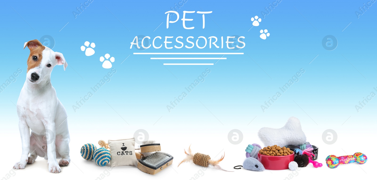 Image of Advertising banner design for pet shop. Cute dog and different accessories on color background