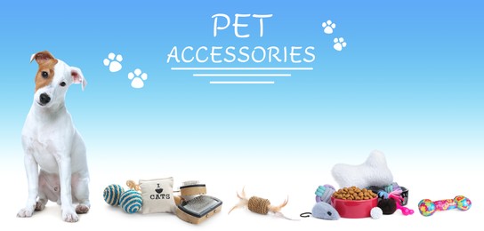 Image of Advertising banner design for pet shop. Cute dog and different accessories on color background