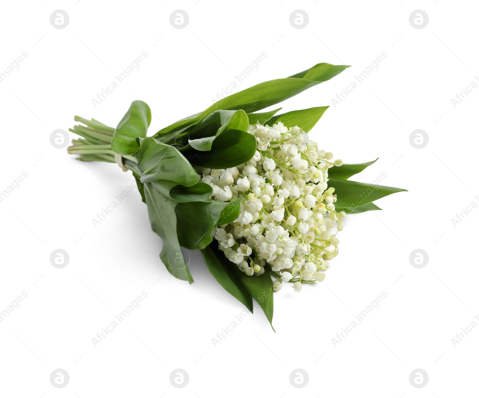 Photo of Beautiful lily of the valley bouquet on white background