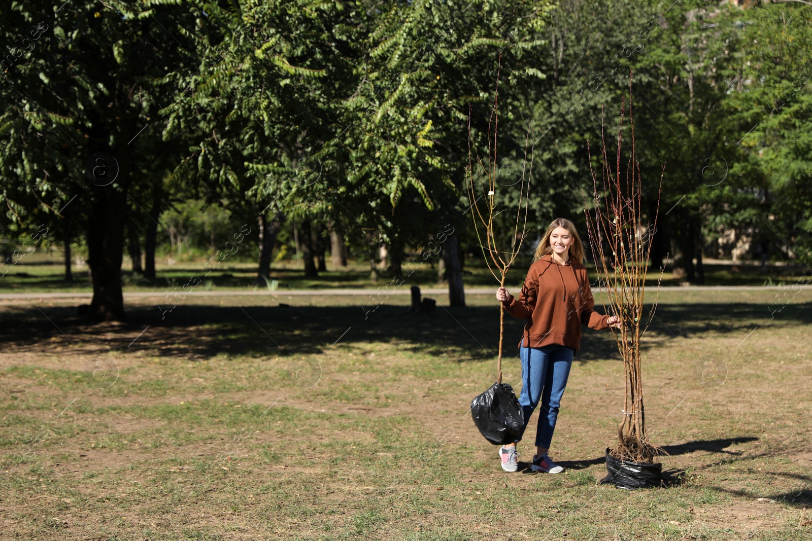 Photo of Happy woman with young trees ready for planting outdoors on sunny day