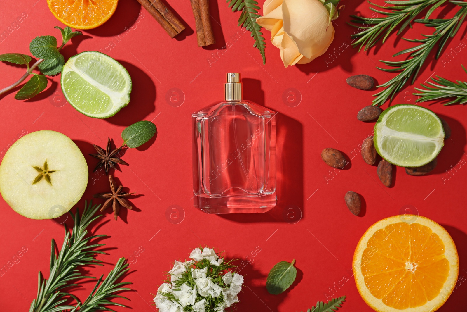 Photo of Beautiful composition with bottle of perfume on color background, flat lay