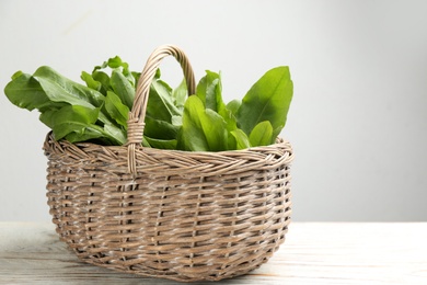Photo of Fresh green sorrel leaves in basket on white wooden table