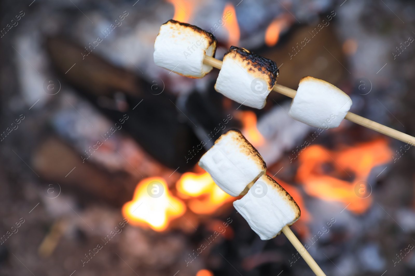 Photo of Delicious puffy marshmallows roasting over bonfire, closeup. Space for text