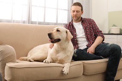 Photo of Adorable yellow labrador retriever with owner on couch indoors