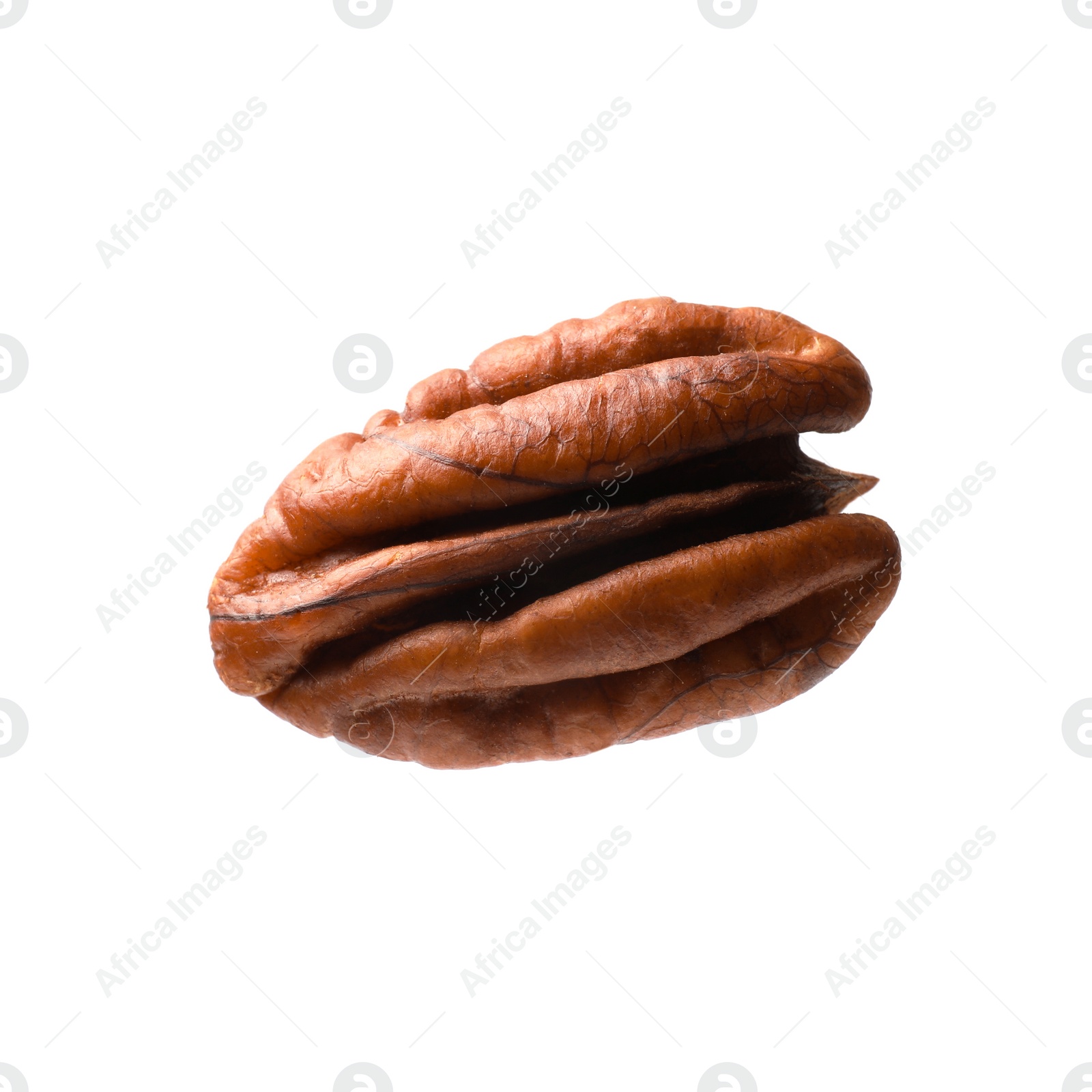 Photo of One tasty pecan nut isolated on white