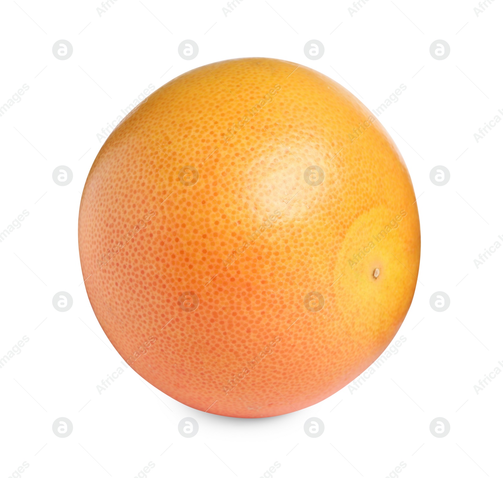 Photo of Citrus fruit. Whole fresh grapefruit isolated on white