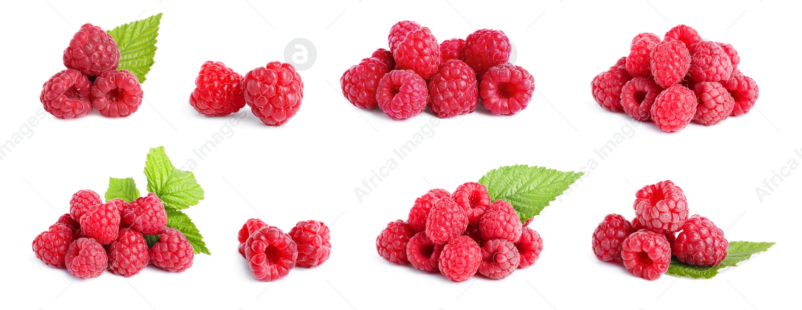 Image of Set with delicious ripe raspberries on white background. Banner design