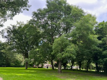 Photo of Beautiful view of green park on sunny day