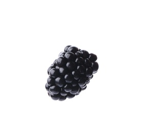 Photo of Tasty ripe juicy blackberry on white background