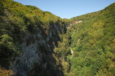 Picturesque view of mountain forest under beautiful sky