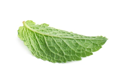 Fresh green mint leaf on white background