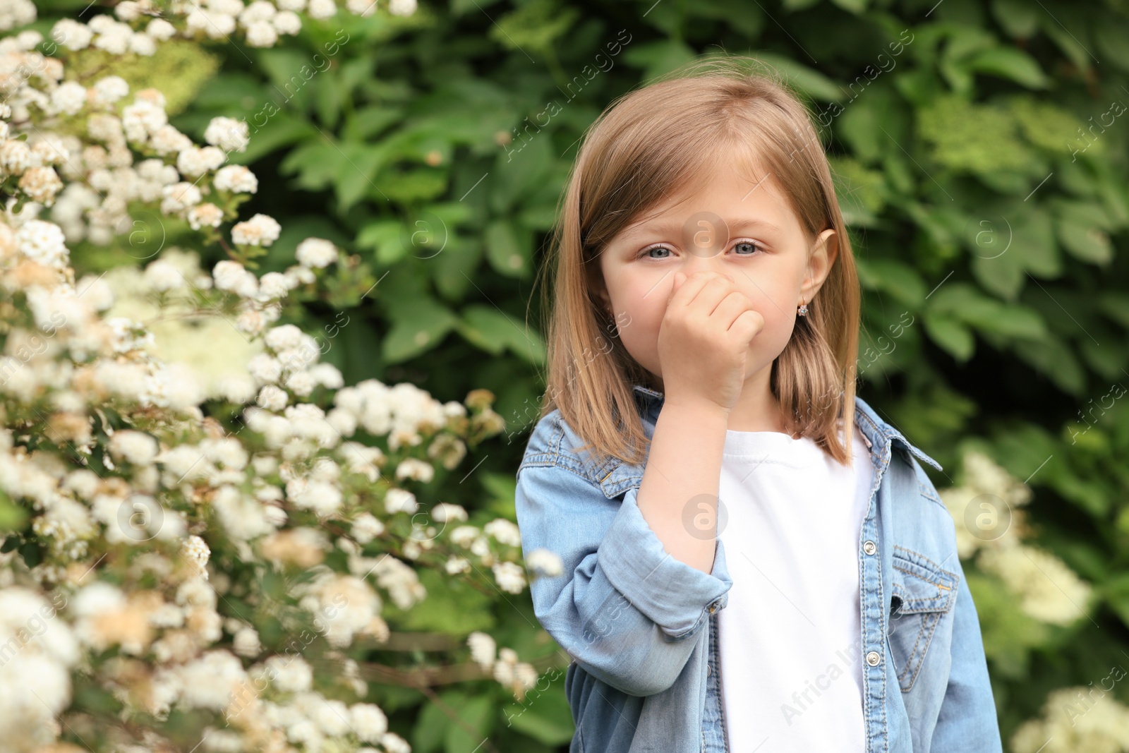 Photo of Little girl suffering from seasonal pollen allergy near blossoming tree on spring day