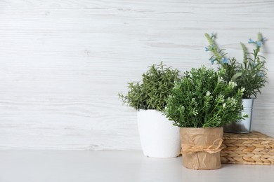 Different aromatic potted herbs on white table, space for text