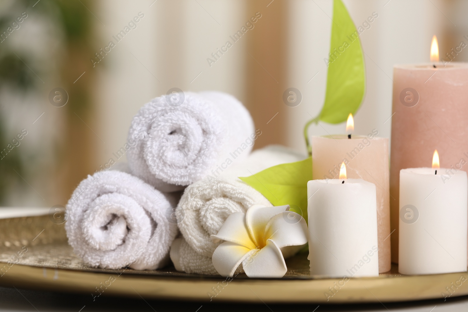 Photo of Spa composition. Burning candles, plumeria flower, green leaves and towels on tray, closeup