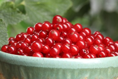 Photo of Ripe red currants in bowl on blurred background, closeup