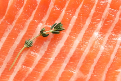 Photo of Raw salmon fillet with thyme as background, closeup