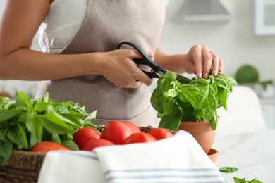 Photo of Woman picking fresh basil at white table in kitchen, closeup