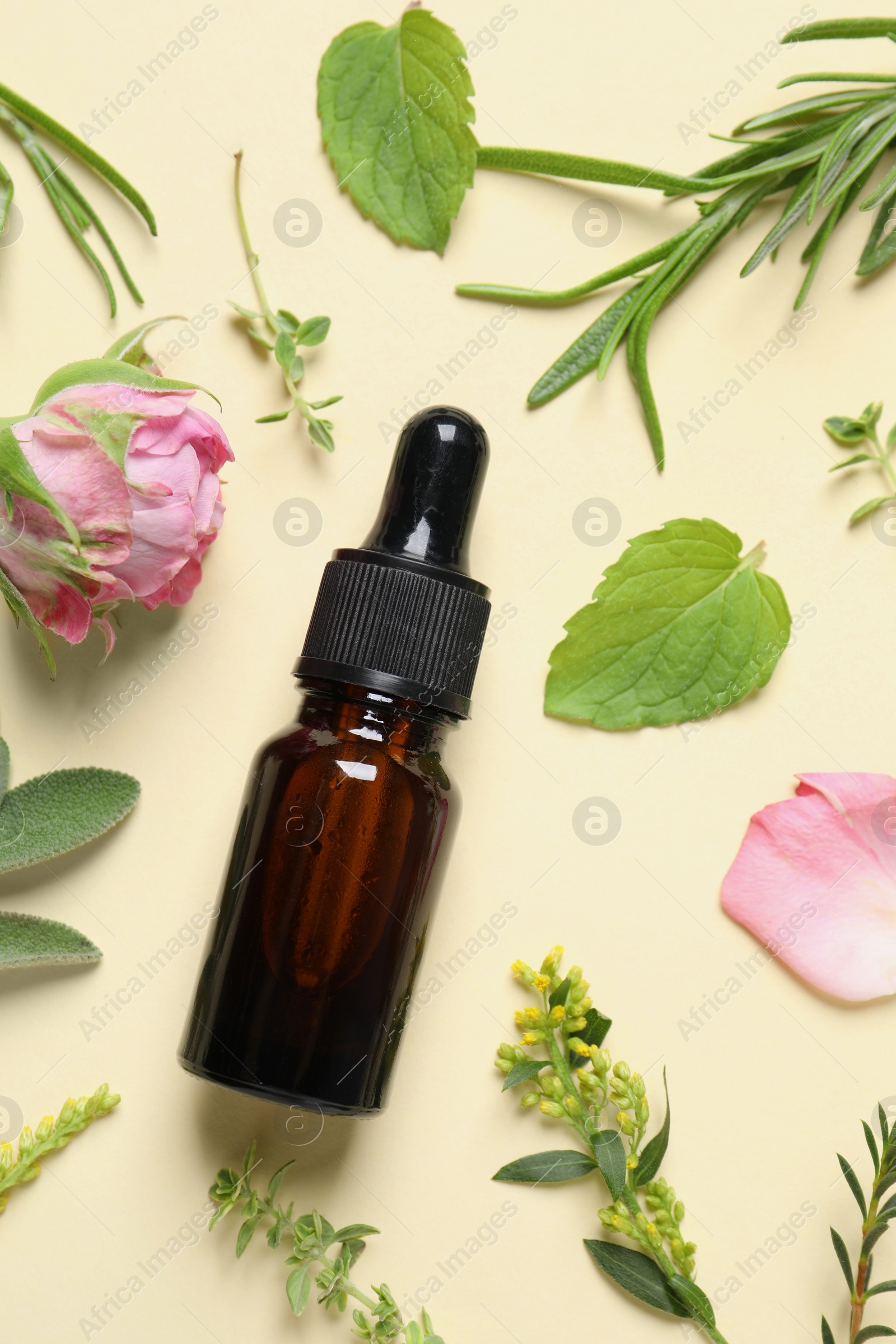 Photo of Bottle of essential oil, different herbs and rose flower on beige background, flat lay