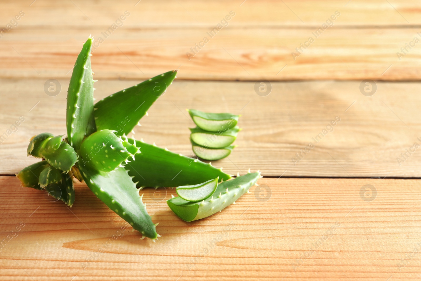 Photo of Fresh aloe vera leaves on wooden background with space for text