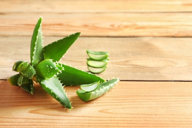 Fresh aloe vera leaves on wooden background with space for text