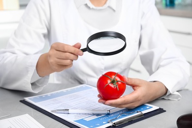 Photo of Scientist with magnifying glass exploring tomato at table in laboratory, closeup. Poison detection