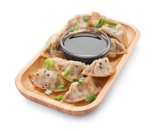 Delicious gyoza (asian dumplings) with green onions and soy sauce isolated on white