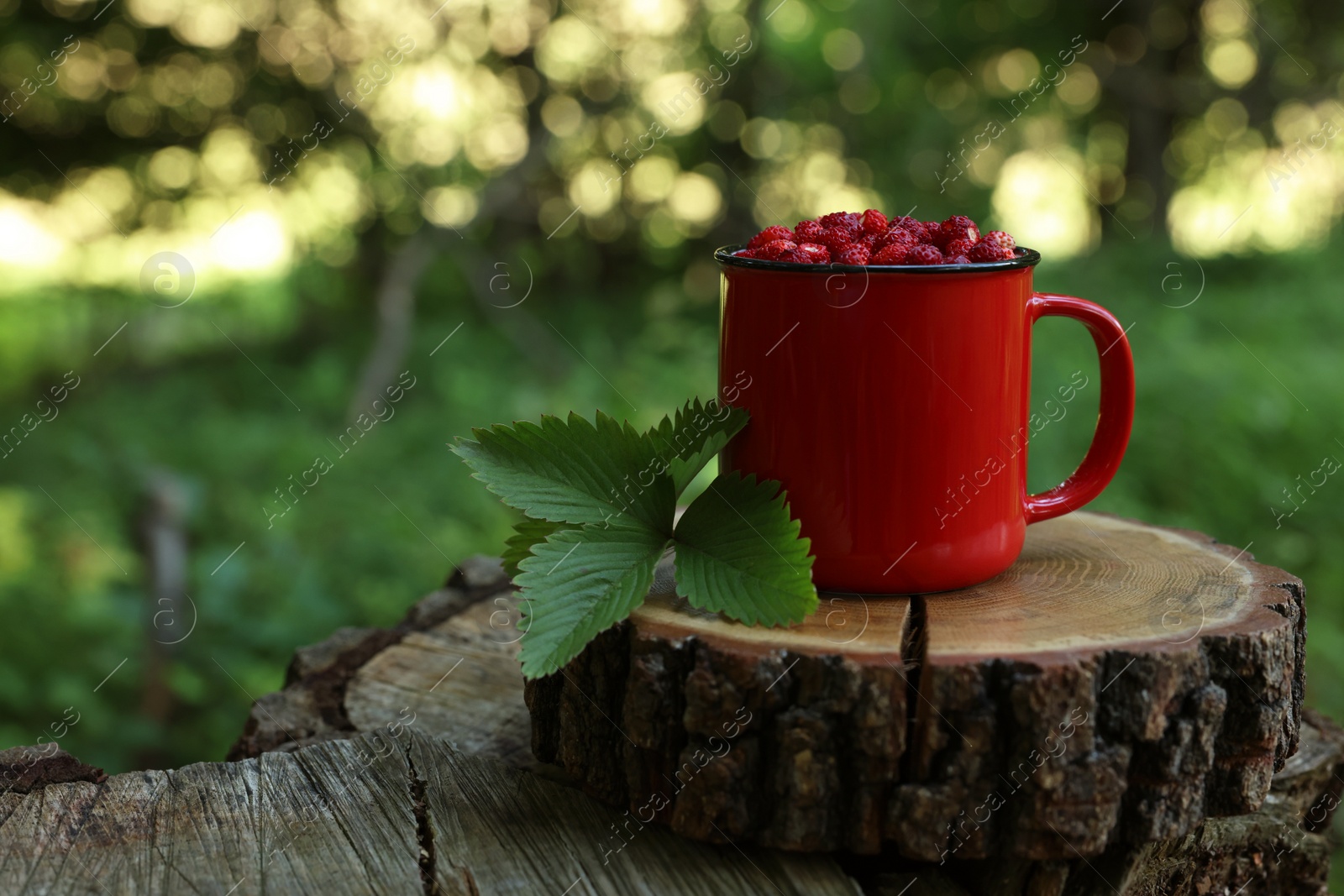 Photo of Mug of tasty wild strawberries and leaves on stump against blurred background. Space for text