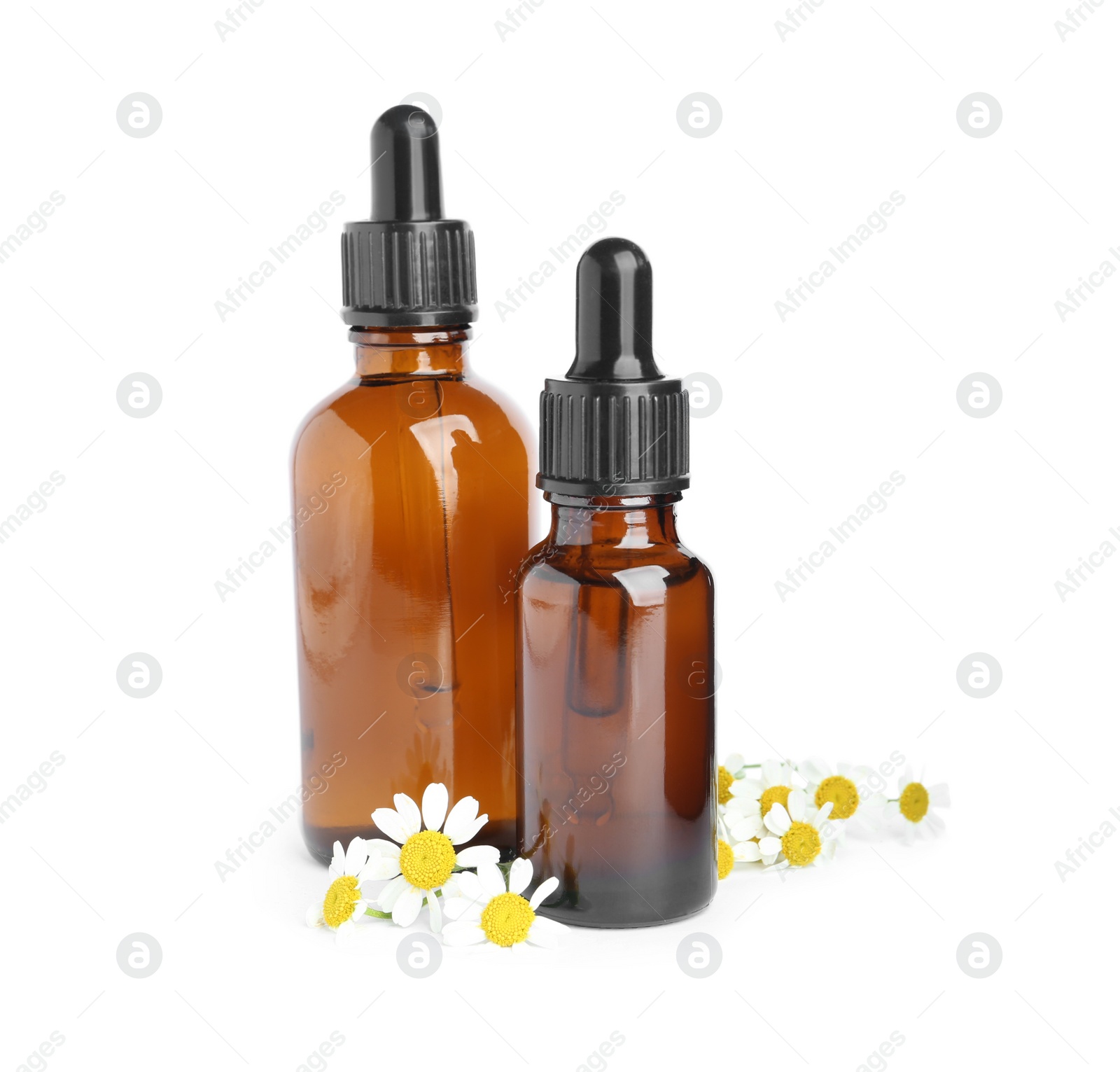 Photo of Bottles of essential oil and fresh chamomiles isolated on white