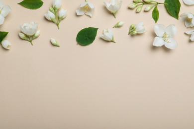 Flat lay composition with beautiful jasmine flowers on beige background. Space for text