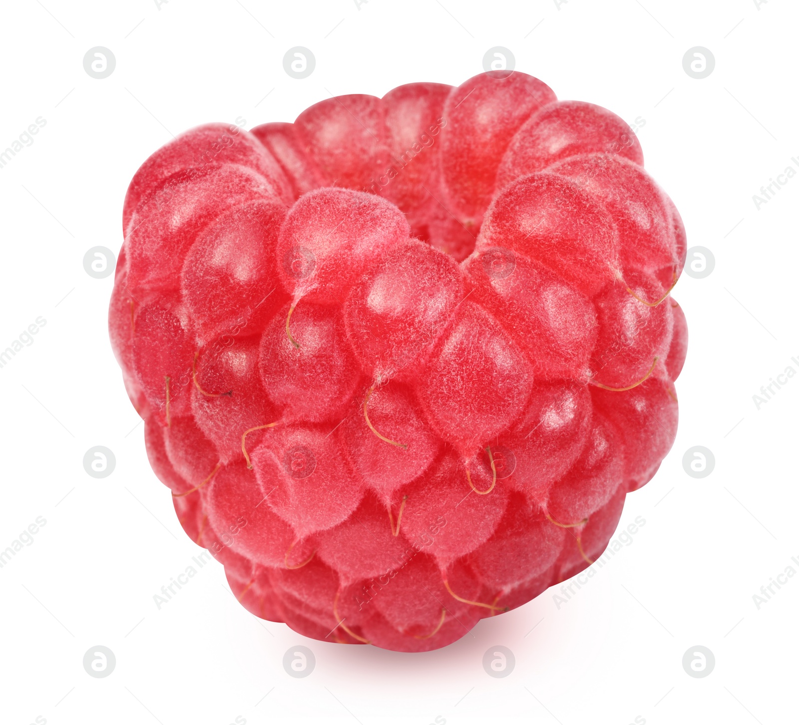 Photo of One tasty ripe raspberry isolated on white