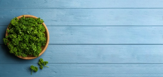 Photo of Fresh curly parsley on blue wooden table, flat lay. Space for text