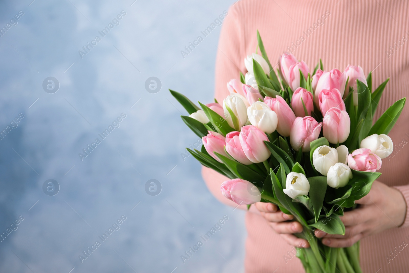 Photo of Woman holding bouquet of tulips against blue background, closeup. Space for text