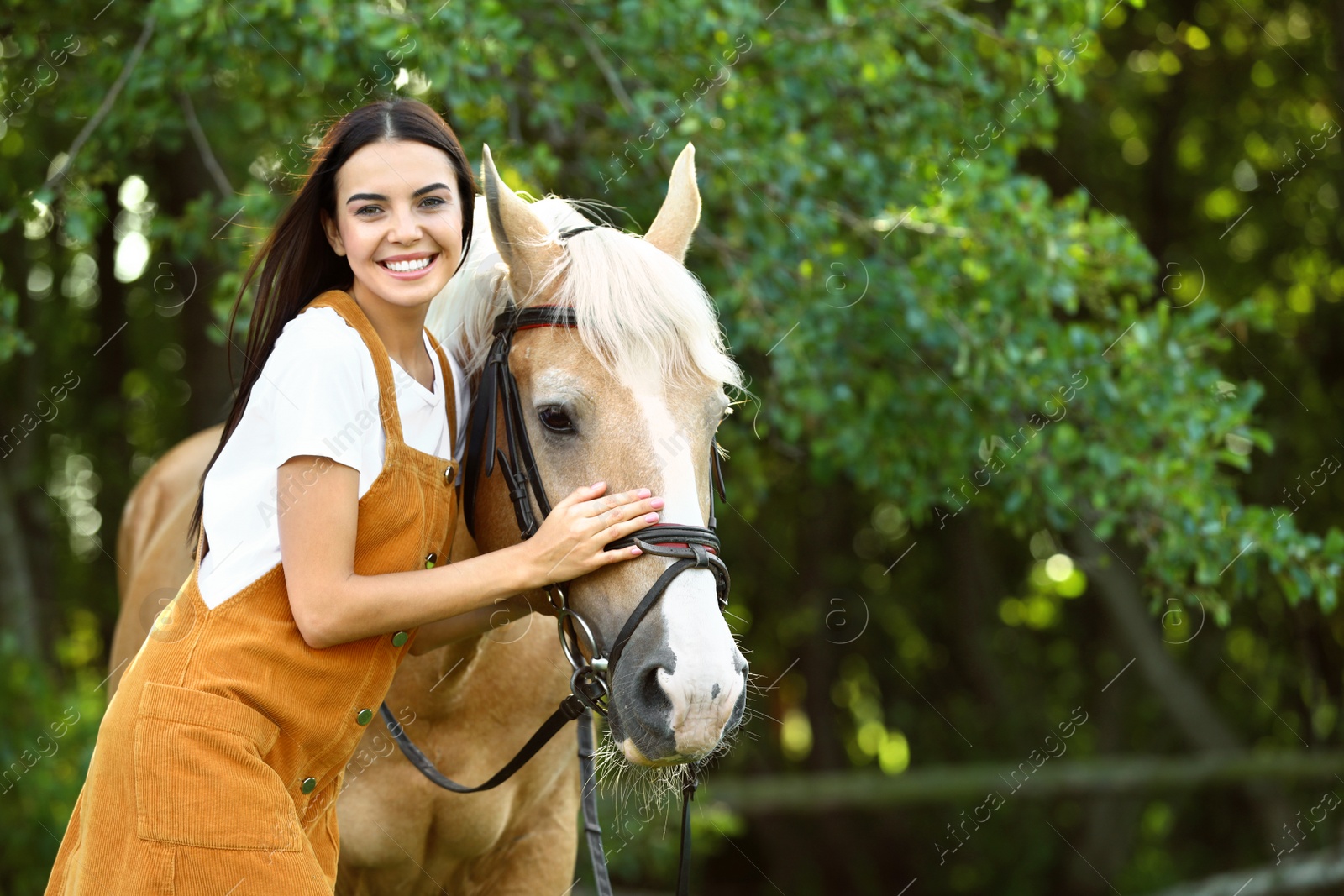 Photo of Palomino horse in bridle and young woman outdoors