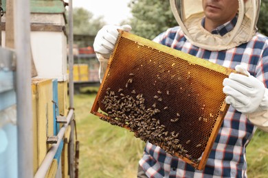 Photo of Beekeeper holding hive frame at apiary, closeup. Harvesting honey
