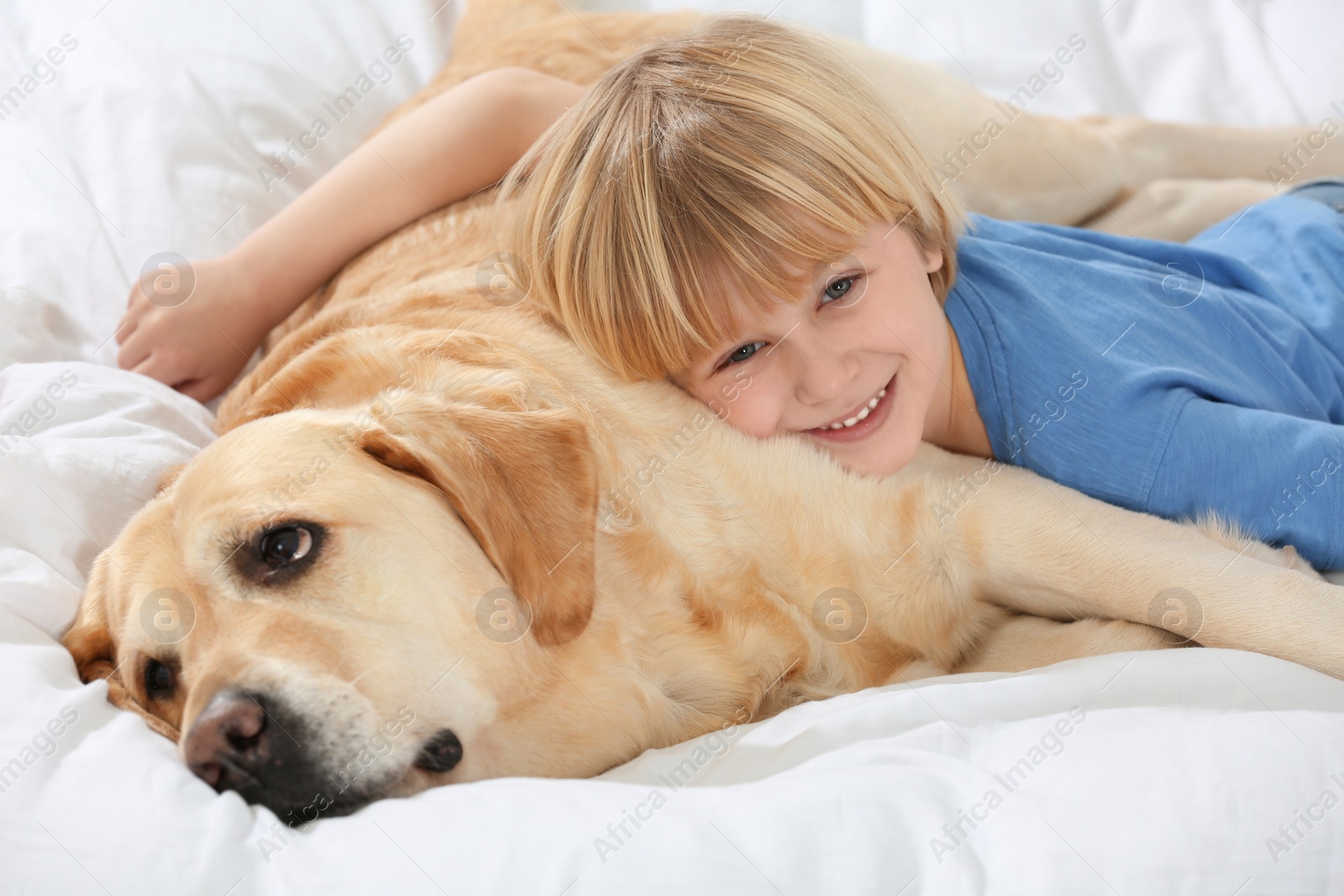 Photo of Cute little child with Golden Retriever on bed. Adorable pet