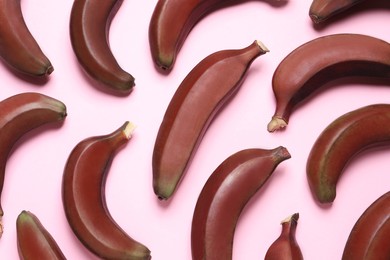 Photo of Tasty red baby bananas on pink background, flat lay