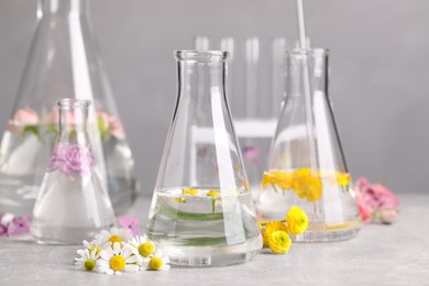 Photo of Flasks with different flowers on light table. Essential oil extraction