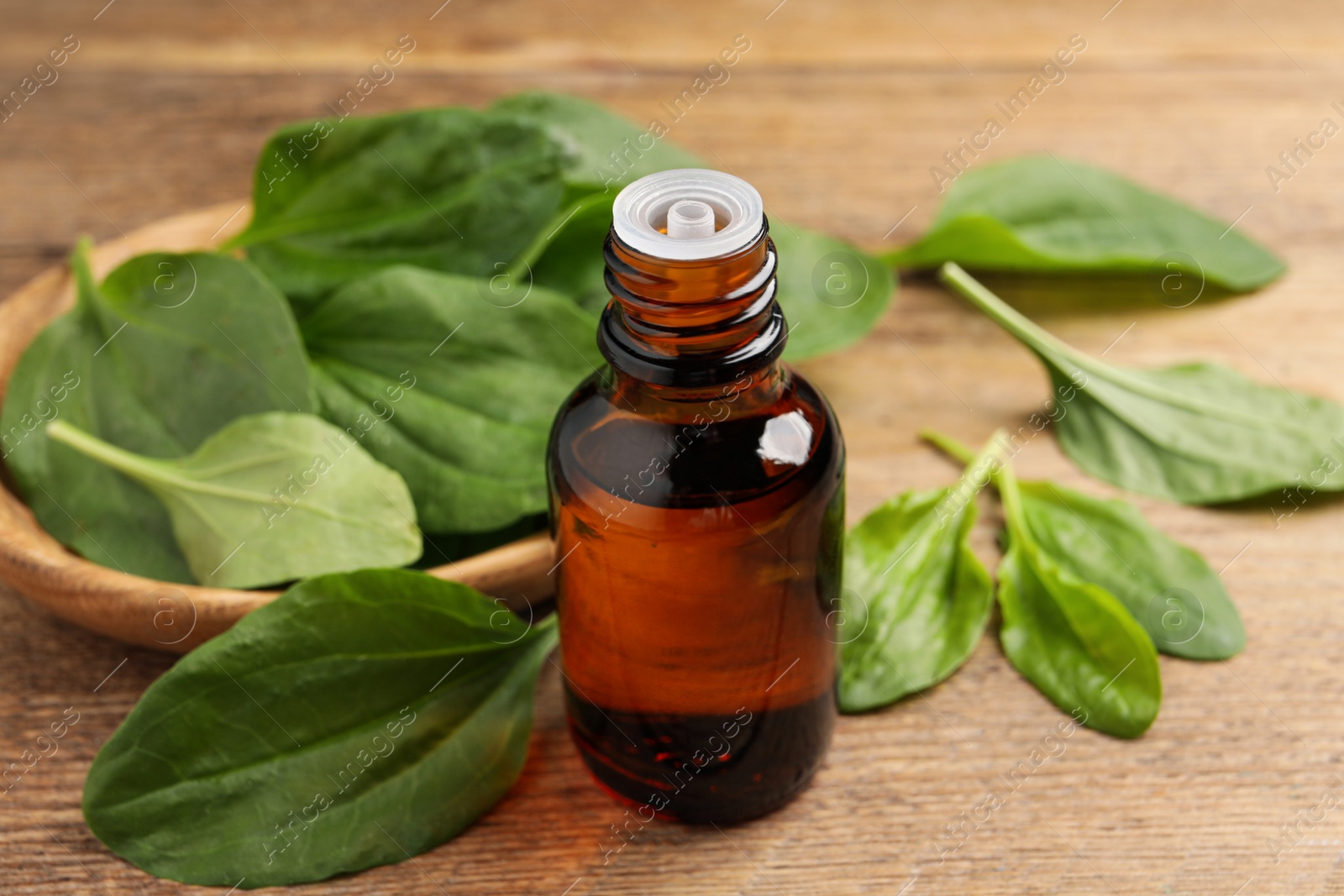 Photo of Bottle of broadleaf plantain extract and leaves on wooden table