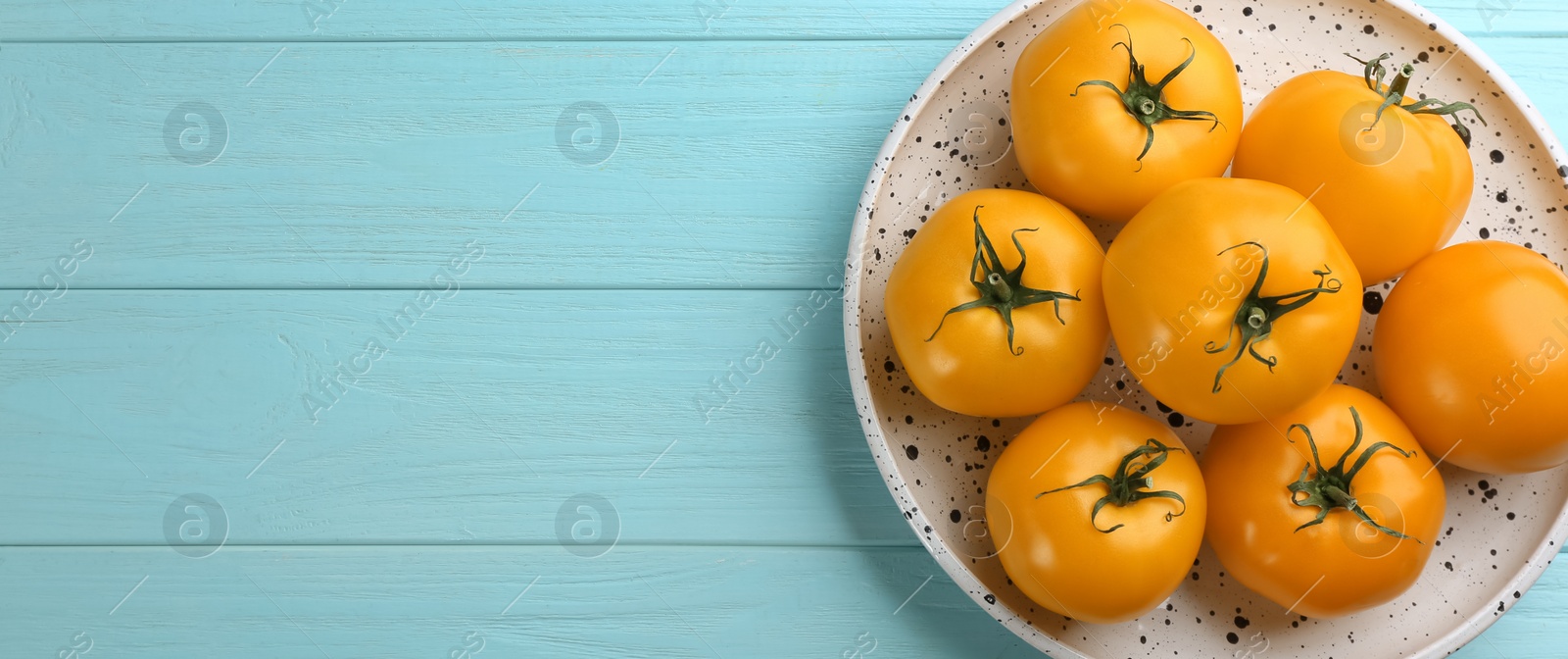 Photo of Ripe yellow tomatoes on light blue wooden table, top view. Space for text